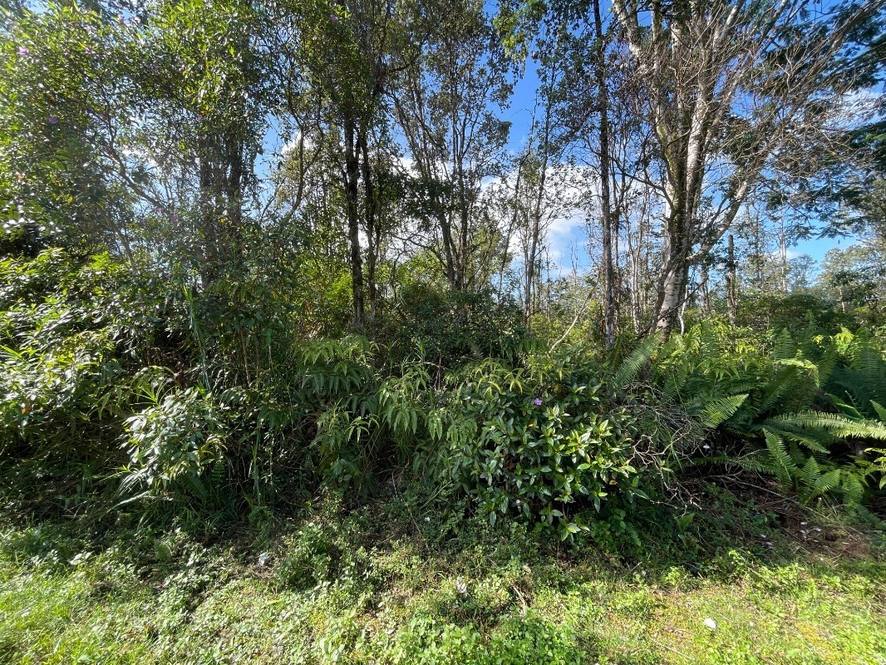 ALOHA DR KURTISTOWN, HI 96760 MLS 666792