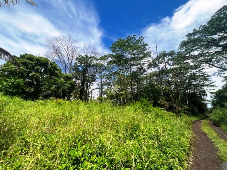 KING KAMEHAMEHA BLVD KURTISTOWN, HI 96760 MLS 702426