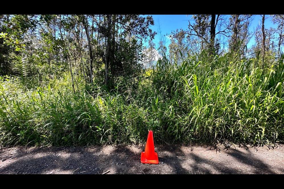 Orchidland Estates, Puna Real Estate Big Island Homes, Big Island