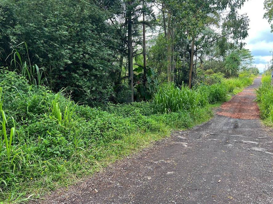 Orchidland Estates, Puna Real Estate Big Island Homes, Big Island