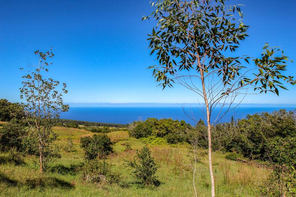 Laupahoehoe, Hamakua Coast Real Estate Big Island Homes, Big Island