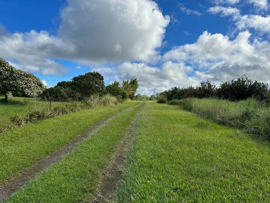 Kurtistown, Hilo Real Estate Big Island Homes, Big Island Condos, Big