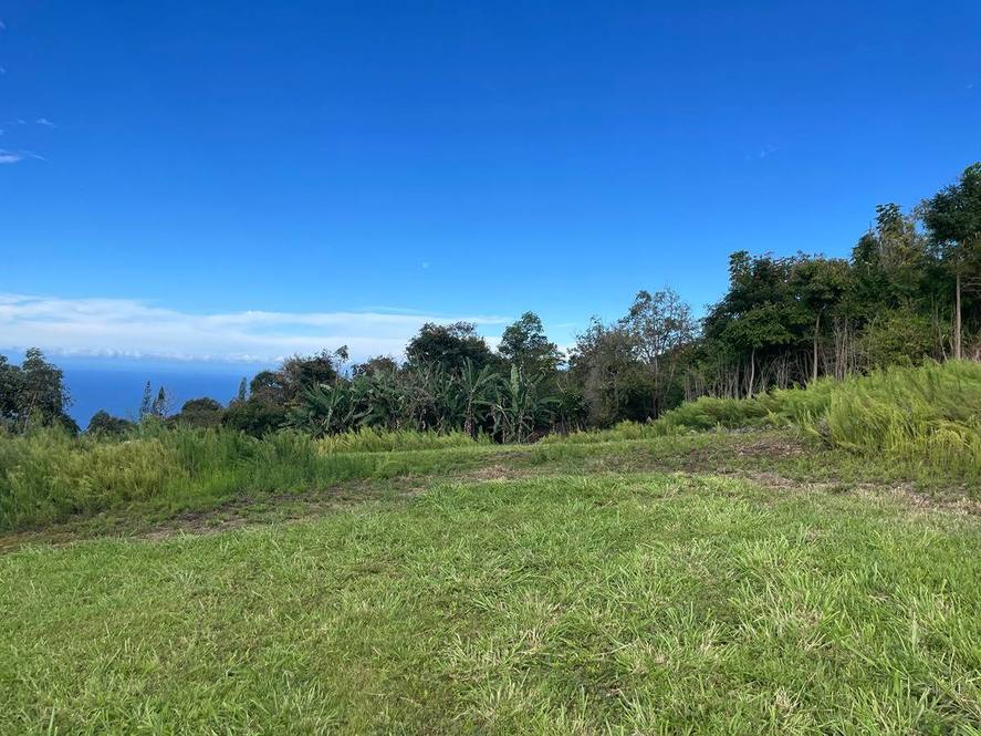 Captain Cook, South Kona Real Estate Big Island Homes, Big Island