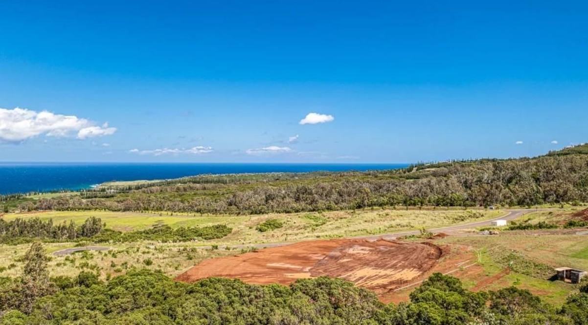 Mahana Estates, West Maui Real Estate Maui Homes, Maui Condos, Maui