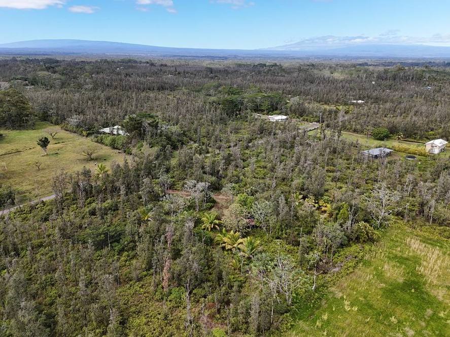 Orchidland Estates, Puna Real Estate Big Island Homes, Big Island