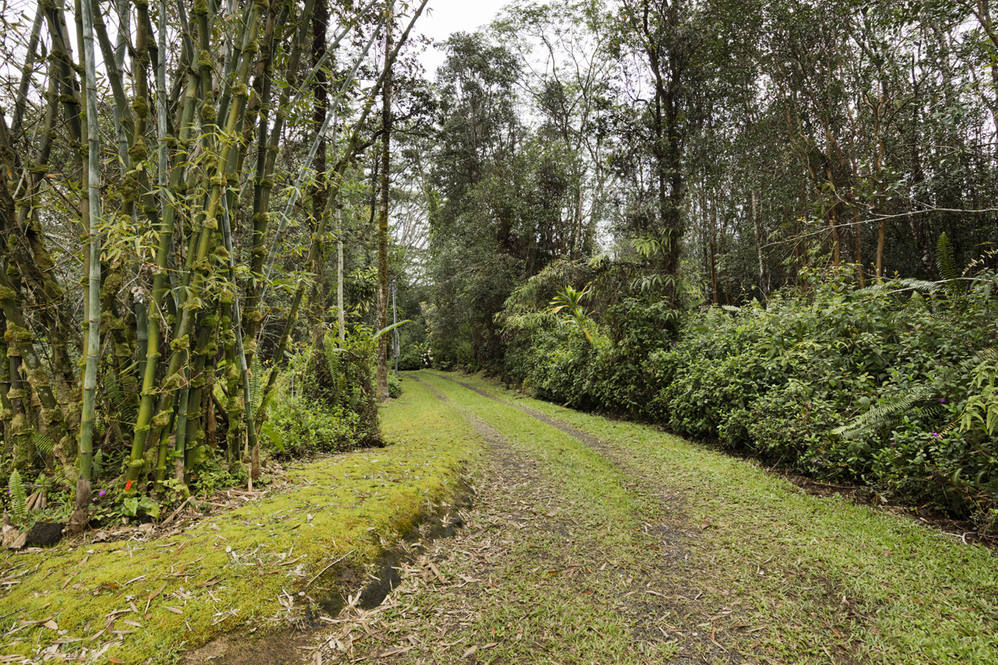 161520 ROAD 11 (PULELEHUA) KURTISTOWN, HI 96760 MLS 710197