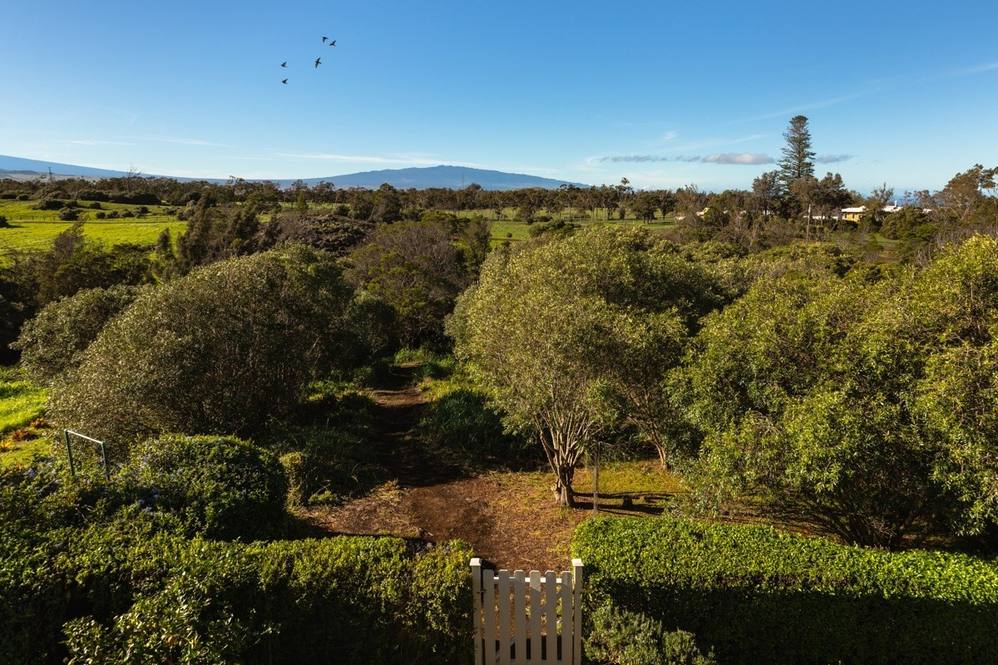 Waimea, Kohala Coast Real Estate Big Island Homes, Big Island Condos