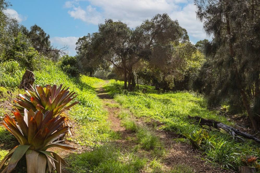 Waimea, Kohala Coast Real Estate Big Island Homes, Big Island Condos