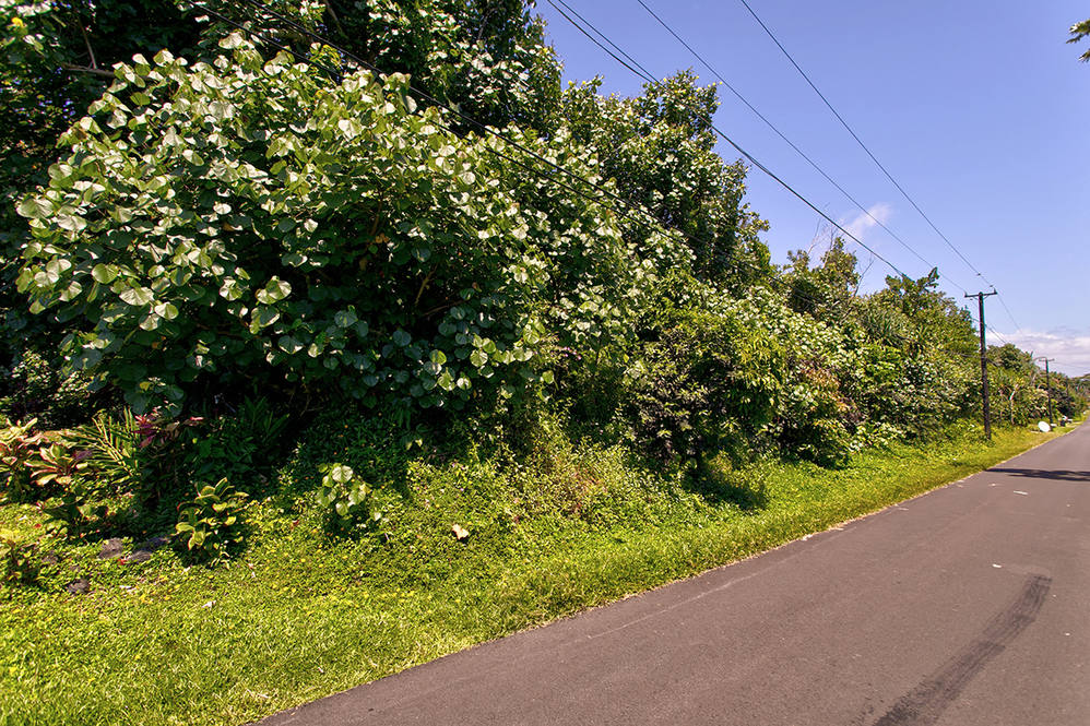 OPAE ST PAHOA HI 96778 MLS 712009 opae-st-pahoa-hi-96778-mls-712009