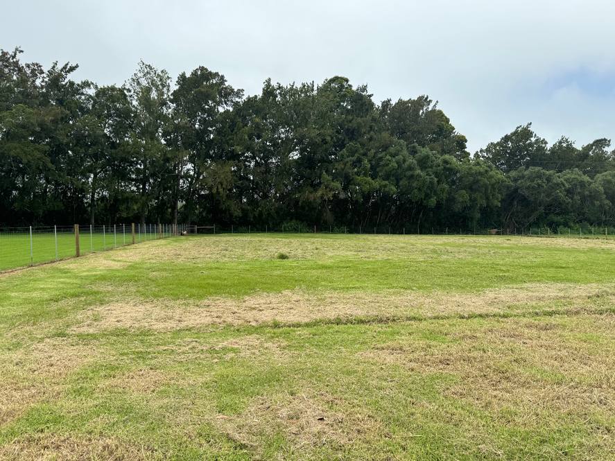 Waimea, Kohala Coast Real Estate Big Island Homes, Big Island Condos