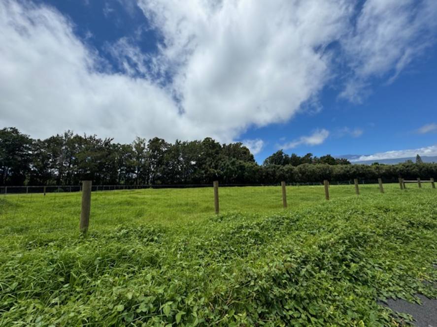 Waimea, Kohala Coast Real Estate Big Island Homes, Big Island Condos