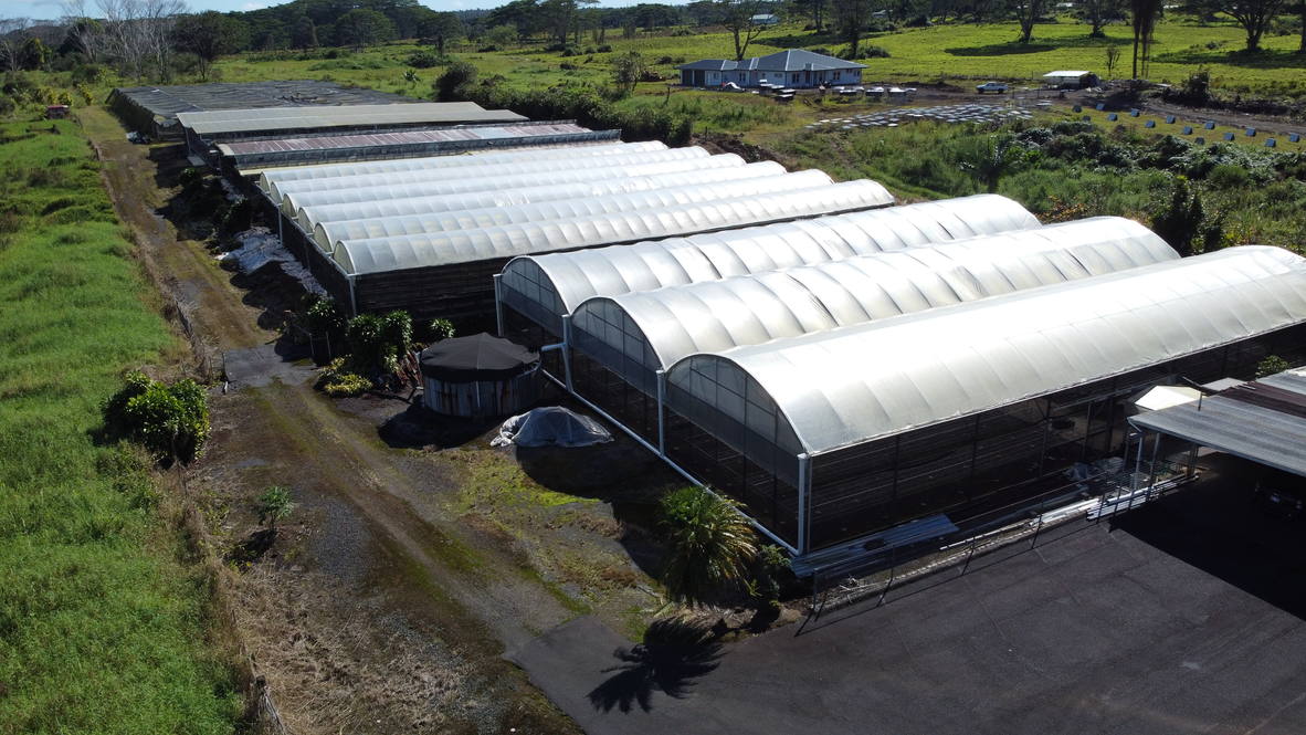 171083 VOLCANO RD Mountain View, HI 96771 MLS 713640