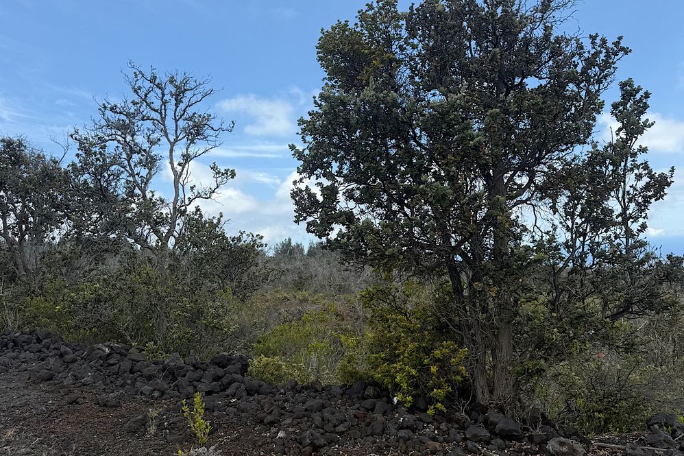 KAILUA BLVD Lot 2 Ocean View, HI 96737 MLS #724834