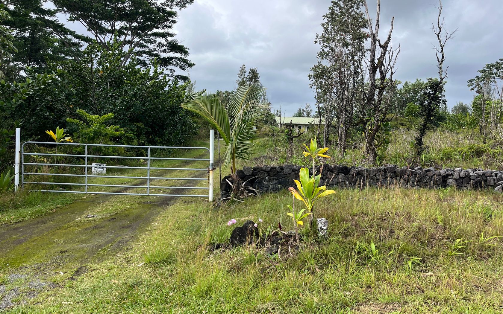 15-1606 1ST AVE Keaau, HI 96749 MLS #728064