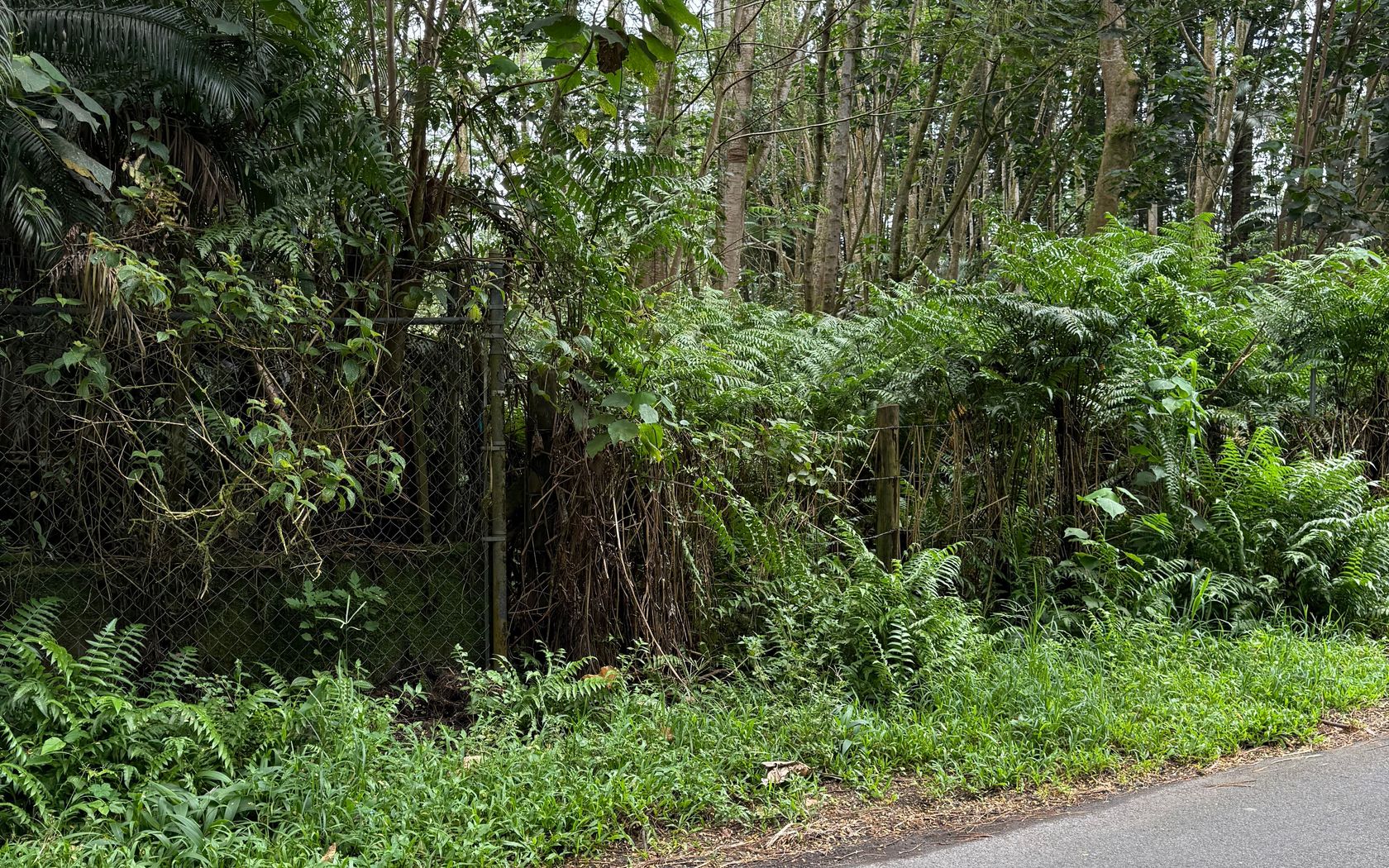 PAHOA Pahoa, HI 96778 MLS #729619