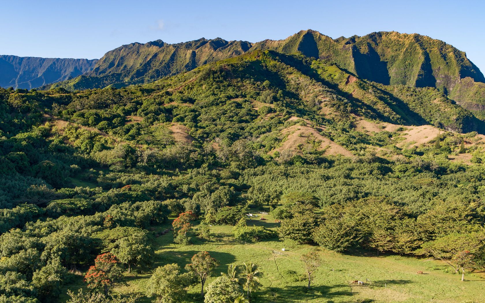 CR KUHIO HWY/ALAMIHI RD Hanalei, HI 96714 MLS #730086