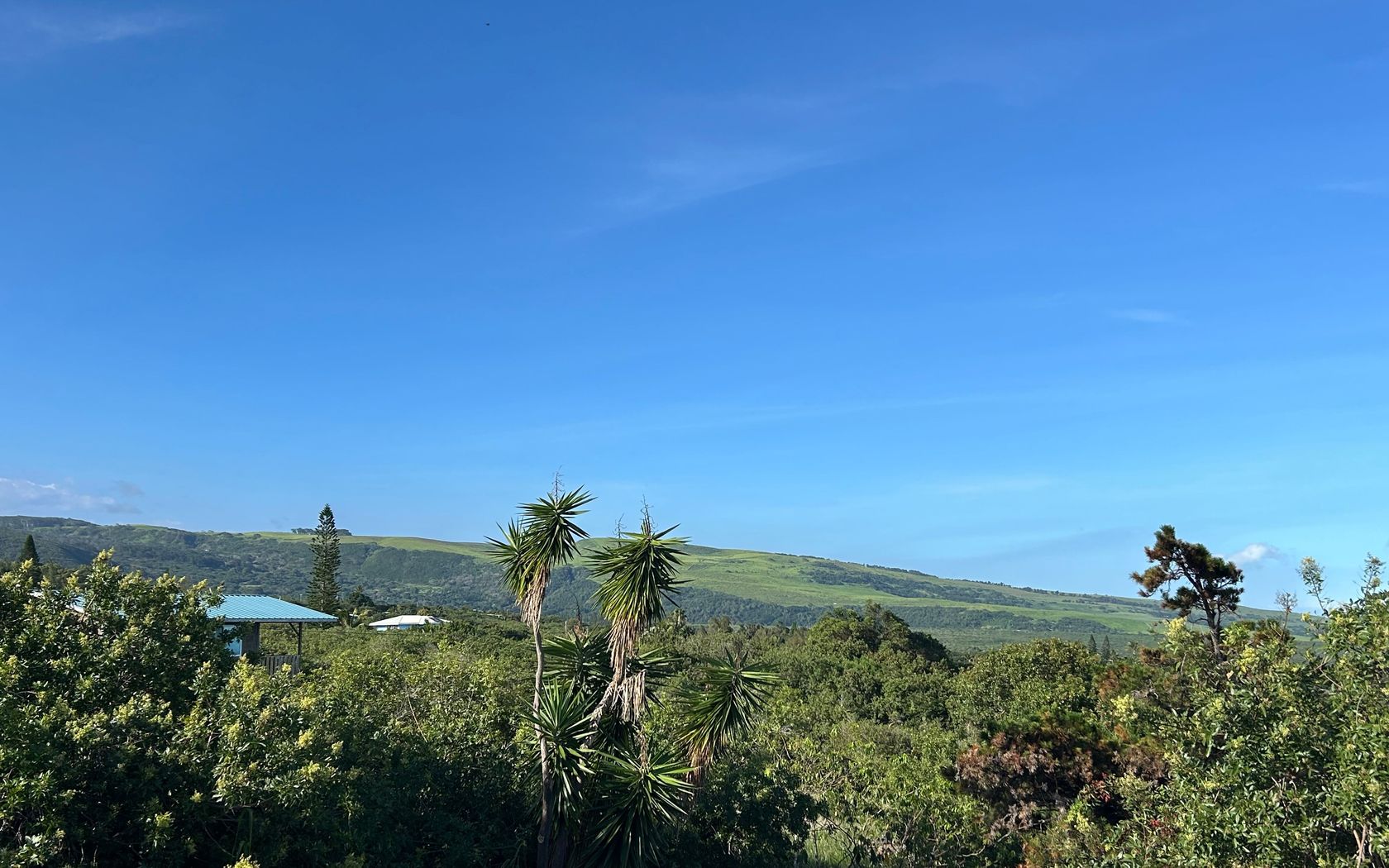 94-6482 PALAOA RD Naalehu, HI 96772 MLS #733417